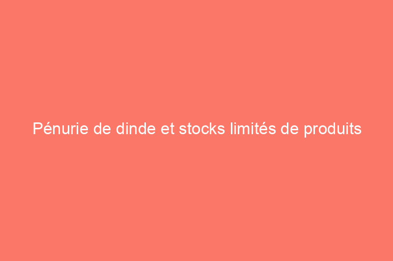 Pénurie de dinde et stocks limités de produits de base pour le repas de Thanksgiving en 2022