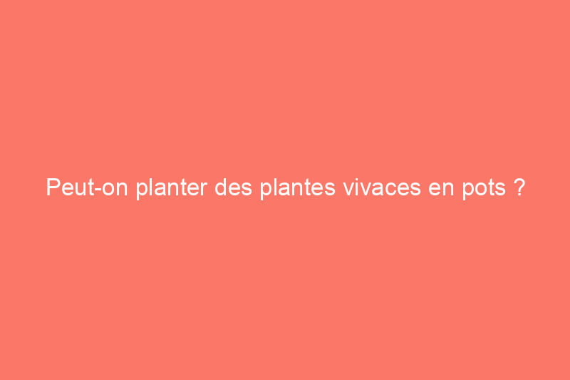 Peut-on planter des plantes vivaces en pots ?