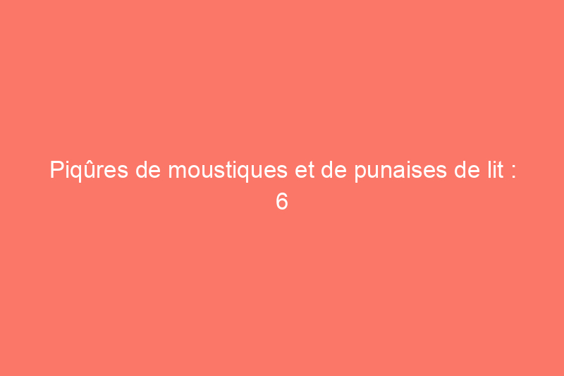 Piqûres de moustiques et de punaises de lit : 6 façons d'identifier l'insecte à l'origine de la piqûre