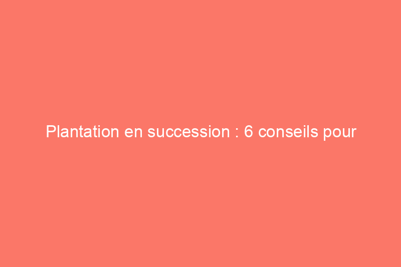 Plantation en succession : 6 conseils pour multiplier vos récoltes cette année