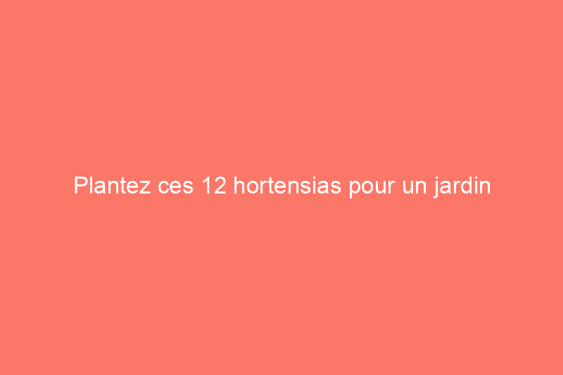 Plantez ces 12 hortensias pour un jardin époustouflant