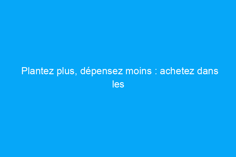 Plantez plus, dépensez moins : achetez dans les pépinières hors saison