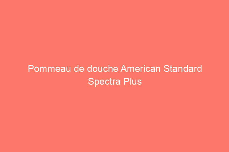 Pommeau de douche American Standard Spectra Plus Duo : un 2 en 1 avec 4 réglages