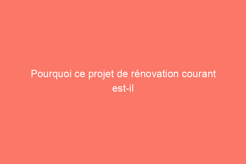 Pourquoi ce projet de rénovation courant est-il si controversé