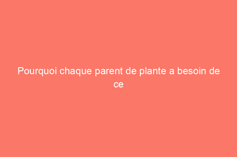 Pourquoi chaque parent de plante a besoin de ce piège à mouches enfichable populaire