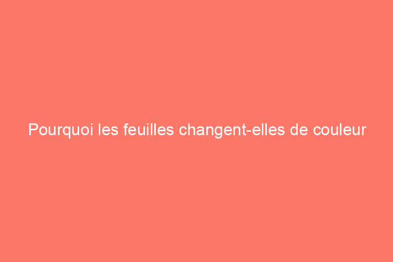 Pourquoi les feuilles changent-elles de couleur à l’automne ?