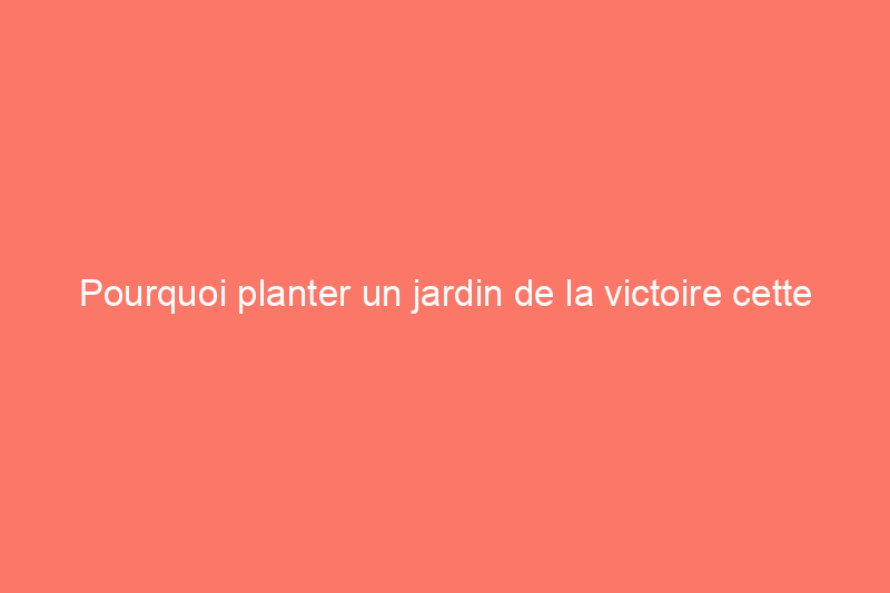 Pourquoi planter un jardin de la victoire cette année est plus important que jamais