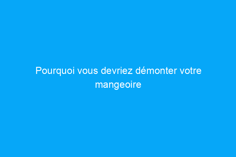 Pourquoi vous devriez démonter votre mangeoire à oiseaux dans votre jardin, du moins pour l’instant