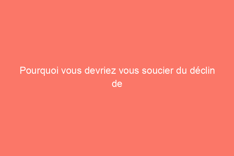 Pourquoi vous devriez vous soucier du déclin de la population de papillons monarques