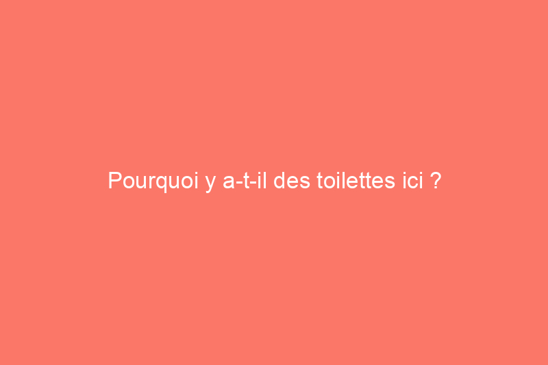 Pourquoi y a-t-il des toilettes ici ?