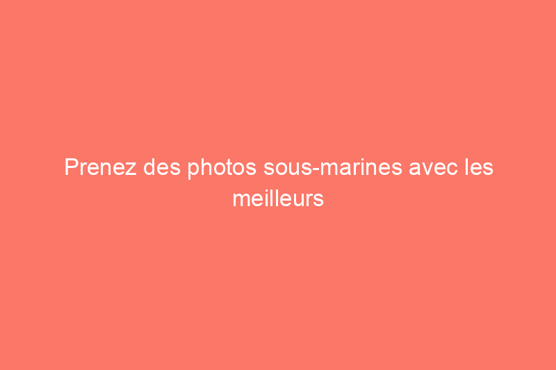 Prenez des photos sous-marines avec les meilleurs étuis de téléphone étanches