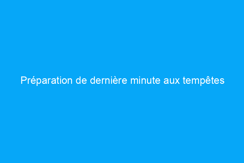 Préparation de dernière minute aux tempêtes hivernales : achetez ces essentiels pour la neige en ligne et récupérez-les dès aujourd'hui