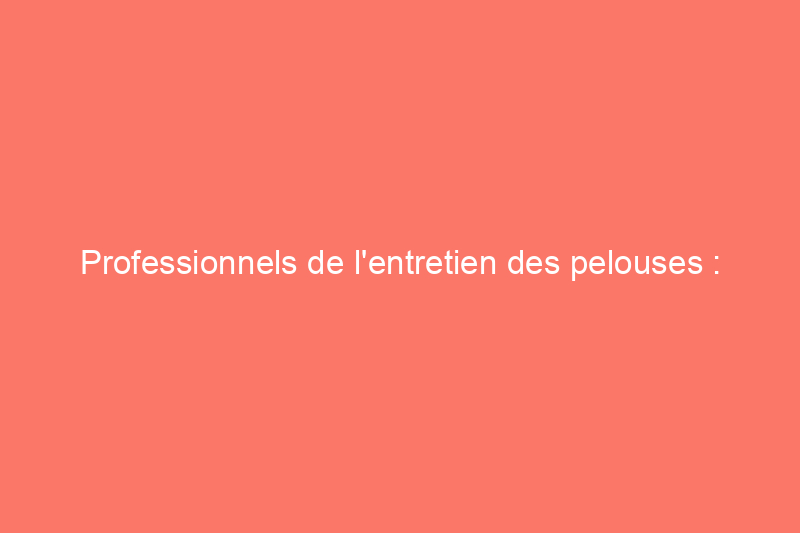 Professionnels de l'entretien des pelouses : voici 5 façons de saboter votre entreprise 