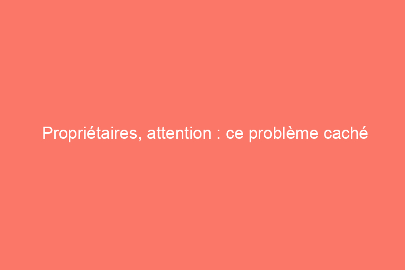 Propriétaires, attention : ce problème caché pourrait faire s'effondrer votre maison