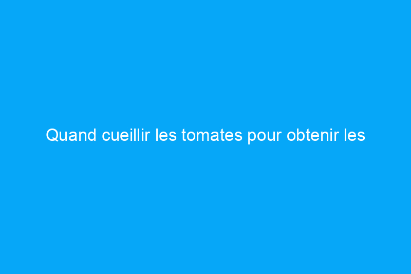 Quand cueillir les tomates pour obtenir les meilleurs produits locaux