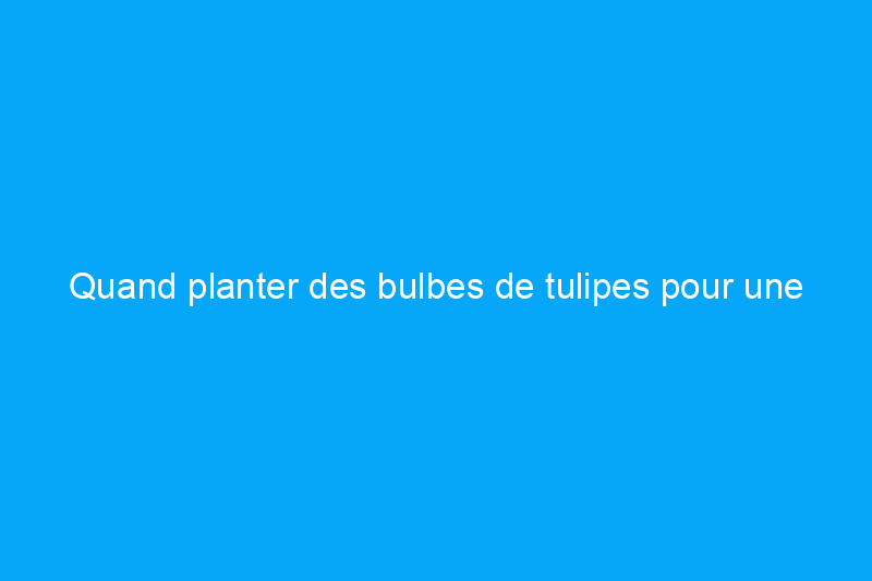 Quand planter des bulbes de tulipes pour une floraison printanière réussie