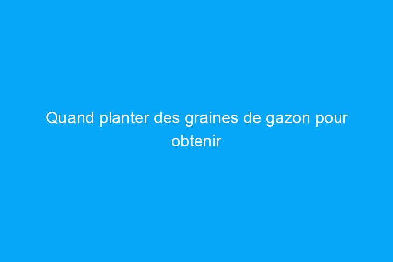 Quand planter des graines de gazon pour obtenir la pelouse la plus luxuriante et la plus verte