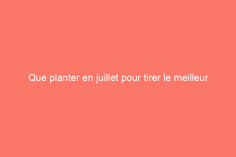 Que planter en juillet pour tirer le meilleur parti de votre jardin