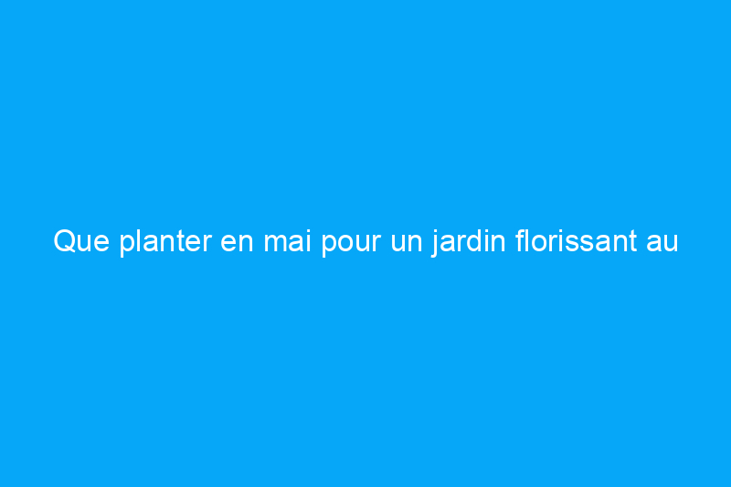 Que planter en mai pour un jardin florissant au printemps, en été et même en automne