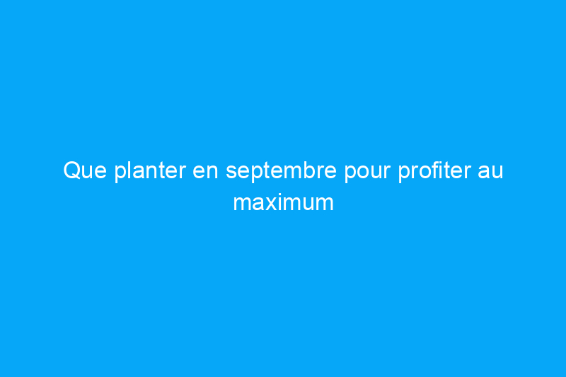 Que planter en septembre pour profiter au maximum de votre saison de croissance