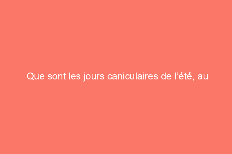 Que sont les jours caniculaires de l’été, au fait ?