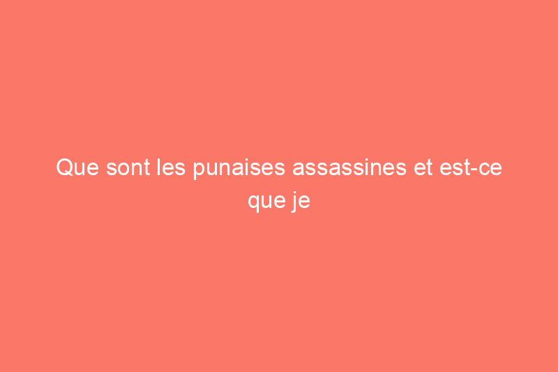 Que sont les punaises assassines et est-ce que je les veux dans mon jardin ?