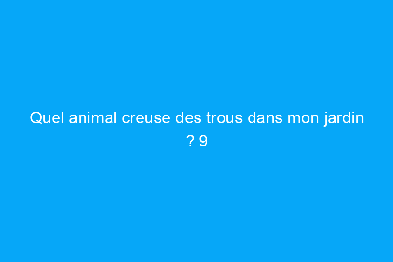 Quel animal creuse des trous dans mon jardin ? 9 types de fouisseurs gênants