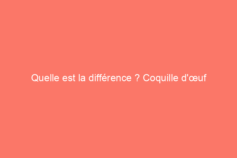 Quelle est la différence ? Coquille d'œuf ou satin