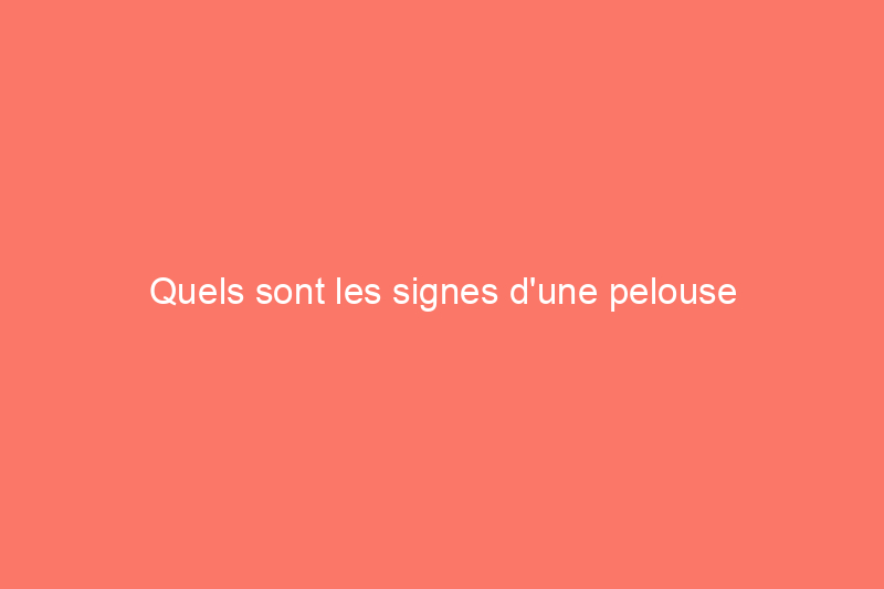 Quels sont les signes d'une pelouse stressée par la chaleur et que pouvez-vous faire à ce sujet ? Nous avons parlé à un expert pour le savoir