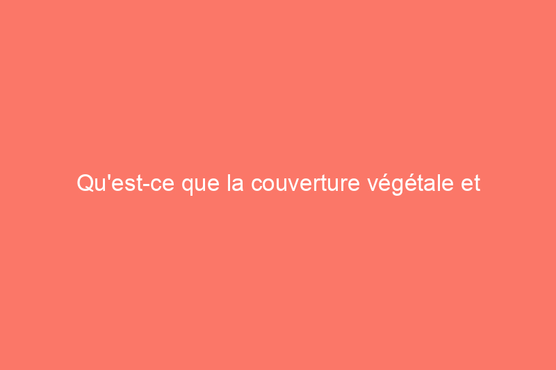 Qu'est-ce que la couverture végétale et comment l'utiliser dans votre jardin