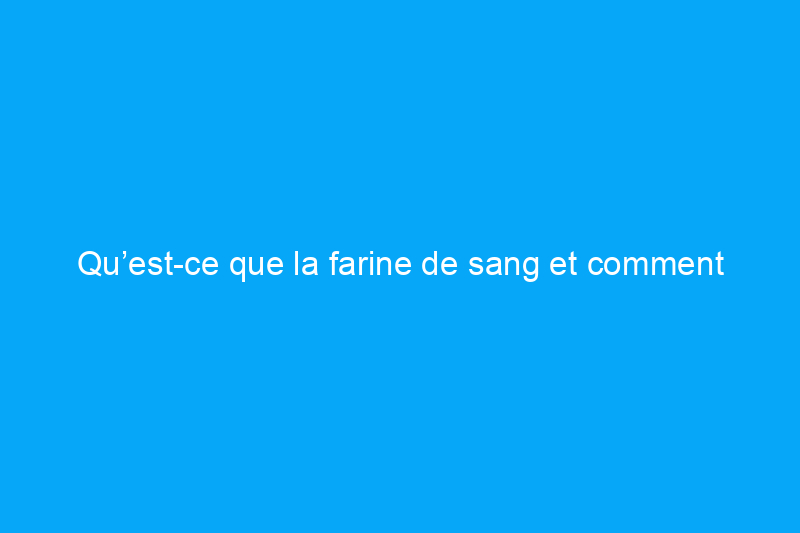 Qu’est-ce que la farine de sang et comment puis-je l’utiliser dans mon jardin ?