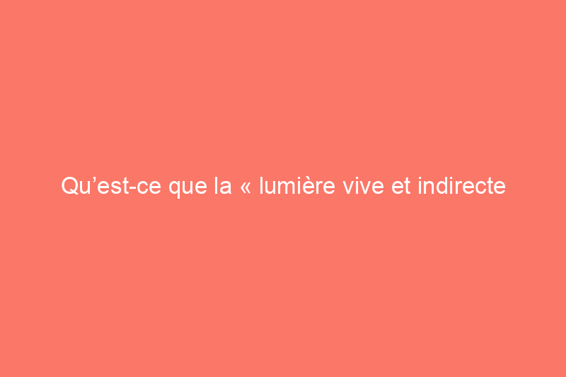 Qu’est-ce que la « lumière vive et indirecte » ?