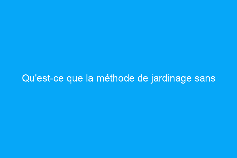 Qu'est-ce que la méthode de jardinage sans creuser et pourquoi devriez-vous l'essayer ce printemps