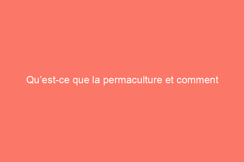 Qu’est-ce que la permaculture et comment puis-je l’utiliser dans mon jardin ?