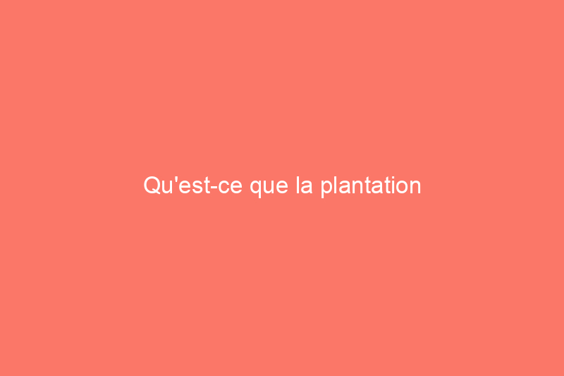 Qu'est-ce que la plantation d'accompagnement et comment l'utiliser dans votre jardin