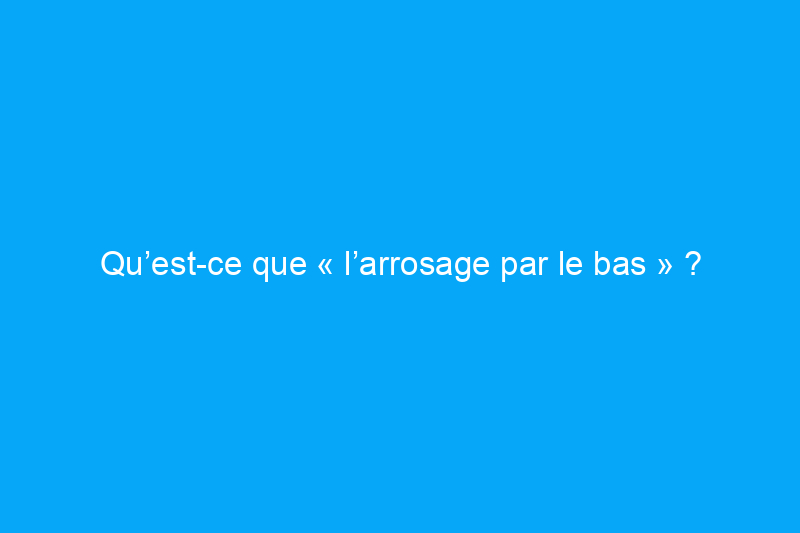 Qu’est-ce que « l’arrosage par le bas » ?