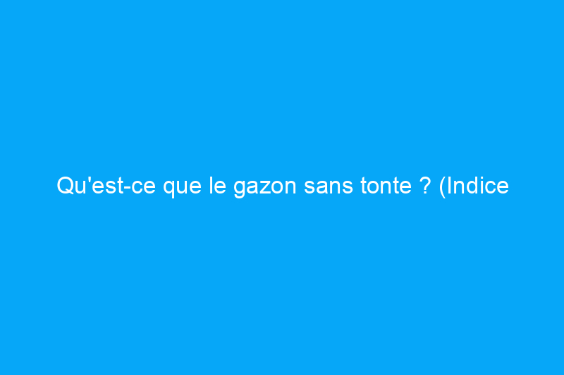 Qu'est-ce que le gazon sans tonte ? (Indice : ce n'est pas du gazon artificiel)