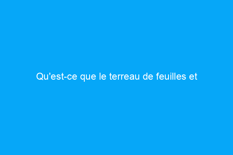 Qu'est-ce que le terreau de feuilles et comment l'utiliser dans votre aménagement paysager