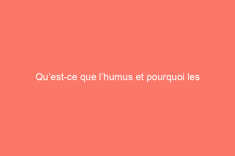 Qu’est-ce que l’humus et pourquoi les propriétaires devraient-ils s’en soucier ?