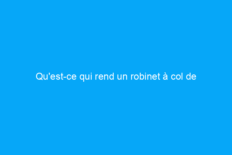 Qu'est-ce qui rend un robinet à col de cygne si génial ? J'ai testé le robinet de cuisine Moen Arbor pour le découvrir