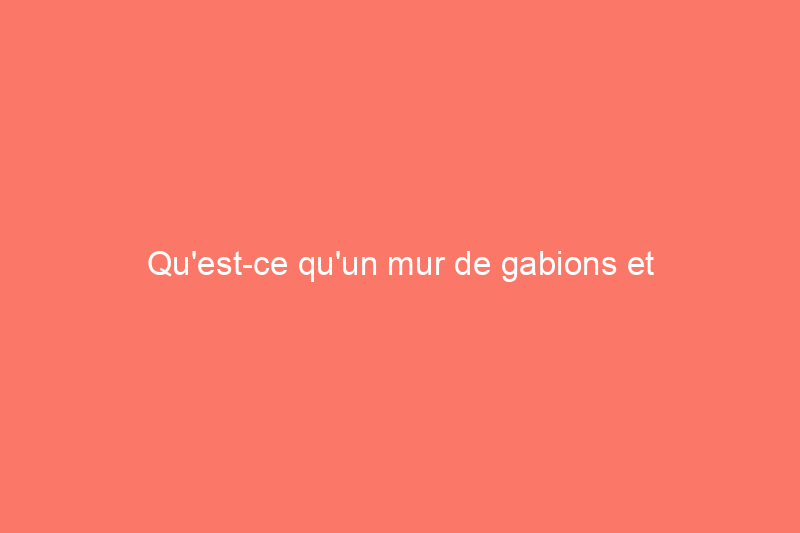 Qu'est-ce qu'un mur de gabions et comment l'utiliser dans votre paysage domestique ?