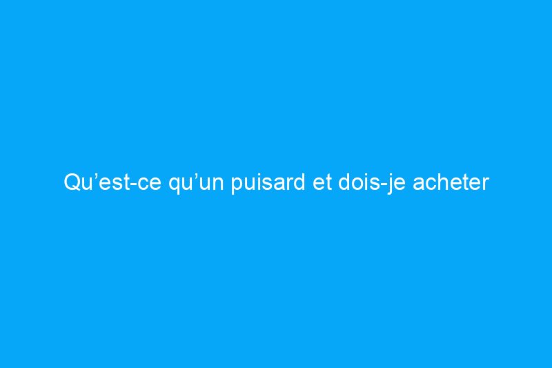 Qu’est-ce qu’un puisard et dois-je acheter une maison qui en possède un ?