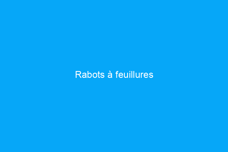 Rabots à feuillures