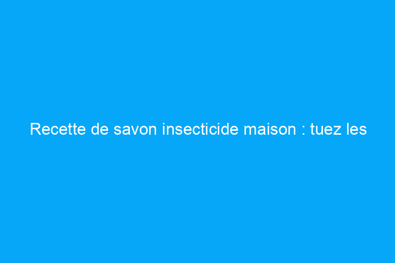 Recette de savon insecticide maison : tuez les insectes du jardin naturellement