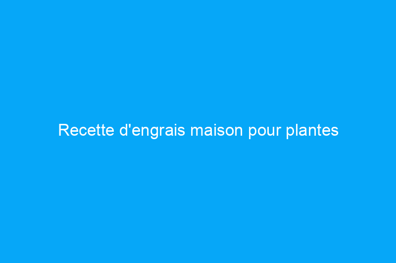 Recette d'engrais maison pour plantes d'intérieur et d'extérieur