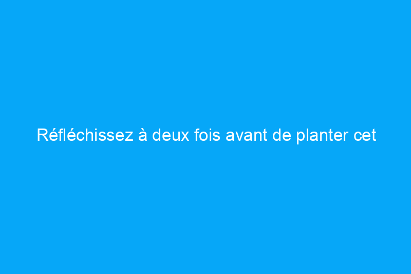 Réfléchissez à deux fois avant de planter cet arbre sur votre propriété : cela pourrait être illégal