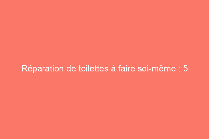 Réparation de toilettes à faire soi-même : 5 problèmes courants liés aux toilettes et comment les résoudre