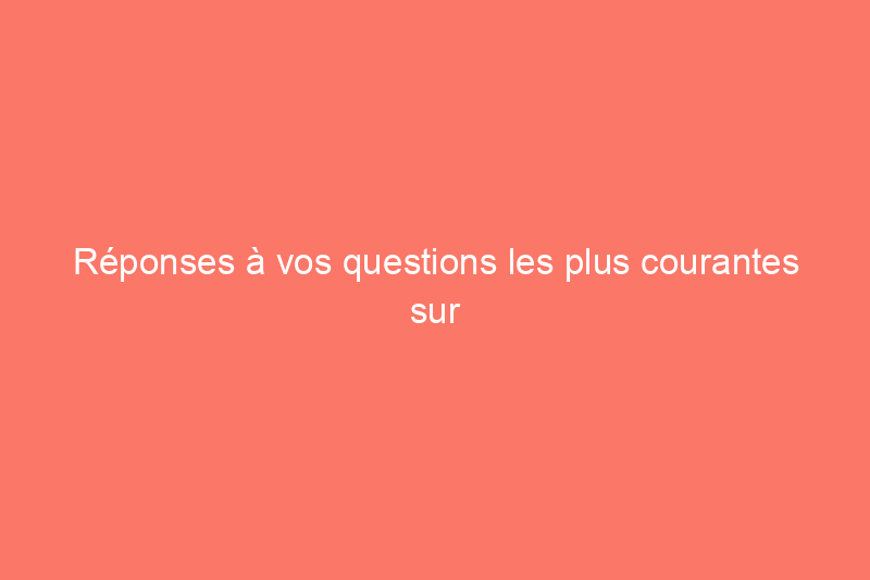 Réponses à vos questions les plus courantes sur le nettoyage de printemps