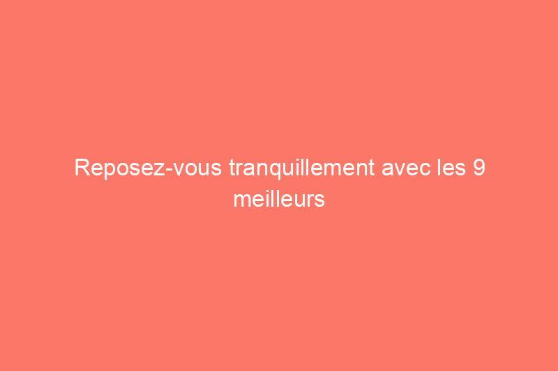 Reposez-vous tranquillement avec les 9 meilleurs oreillers cervicaux pour voyager