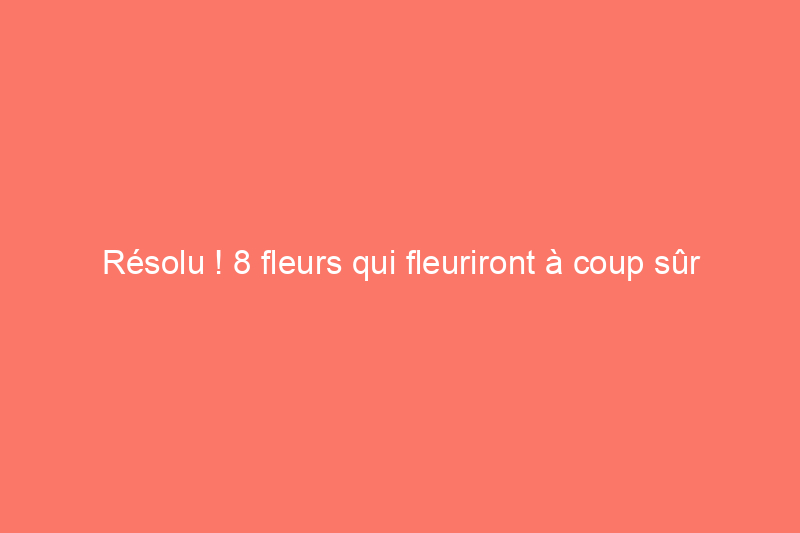 Résolu ! 8 fleurs qui fleuriront à coup sûr en hiver